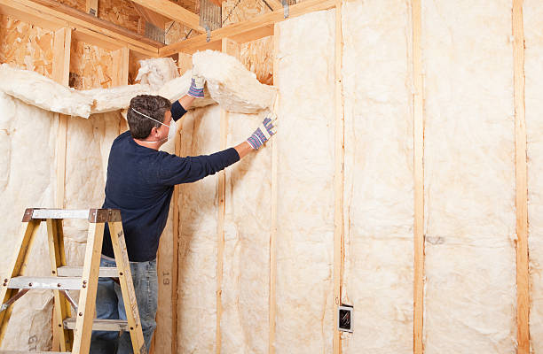 Best Attic Insulation Installation  in Ballwin, MO